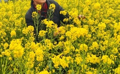 王爷让我色一下